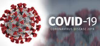 Batch Pertama Penerimaan Covid-Covaxin Mengatakan Tidak Ada Pain Killer Efek Sampingnya